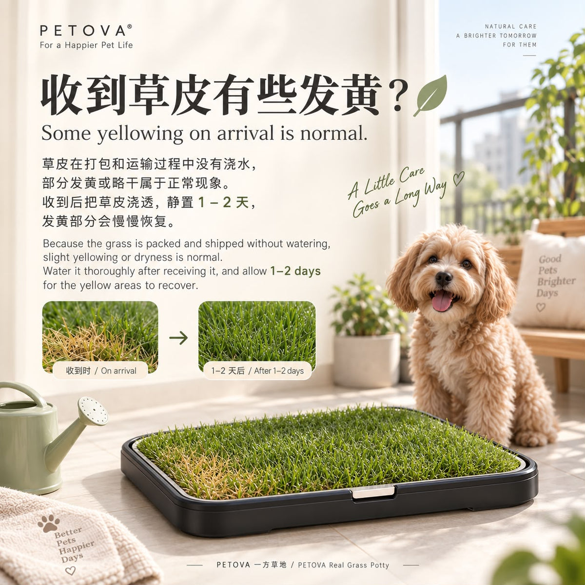 PETOVA Real Grass Dog Toilet Fresh-Cut Carpet Grass|For Dog Cat Rabbit Pee Poo